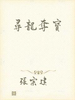 寻龙夺宝