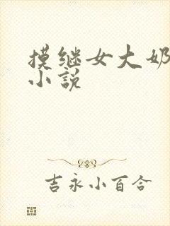 摸继女大奶子的小说