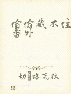 偷偷藏不住新婚番外