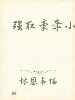 强取豪夺小说封面