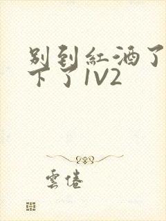 别到红酒了装不下了1V2