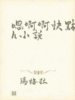 嗯啊啊快点好深h小说封面