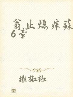 翁止熄痒苏玥第6章封面