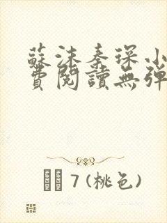 苏沫秦琛小说免费阅读无弹窗