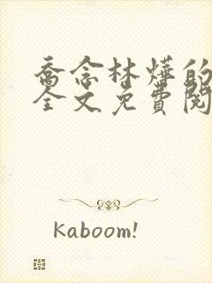 乔念林烨的小说全文免费阅读无弹窗