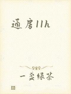 通房11h