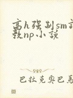 高h强制sm调教np小说封面