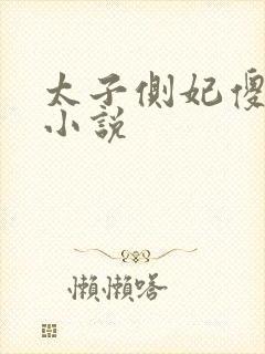 太子侧妃傻乎乎小说