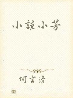 小说小芳封面