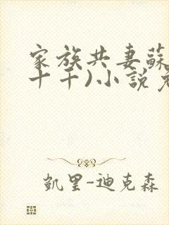 家族共妻苏苏(十千)小说免费