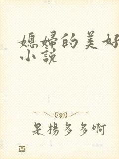 媳妇的美好时代小说