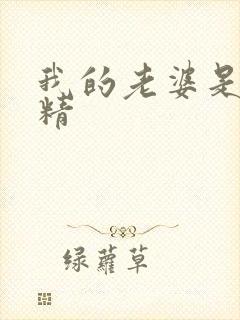 我的老婆是狐狸精