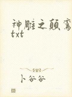 神雕之颠鸾倒凤txt