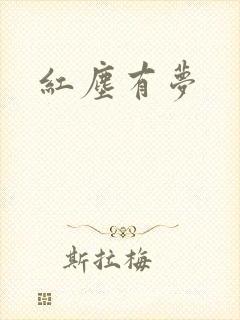 红尘有梦封面