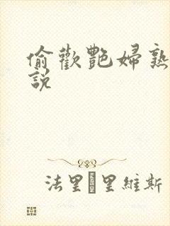 偷欢艳妇熟女小说封面