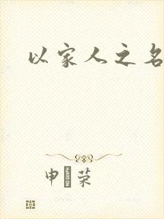 以家人之名小说封面