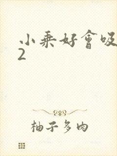 小乘好会吸1V2封面