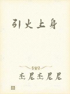 引火上身封面