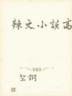 辣文小说高h