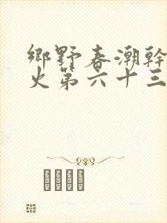 乡野春潮干柴烈火第六十三章