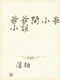 爷爷开小米的包小说