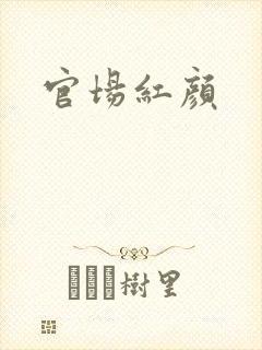 官场红颜