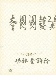 大团圆结2亲情会闪闪发光亲情会2封面