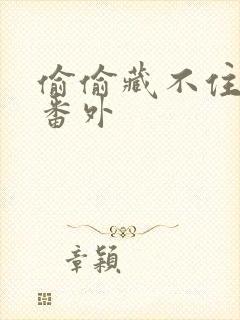 偷偷藏不住新婚番外