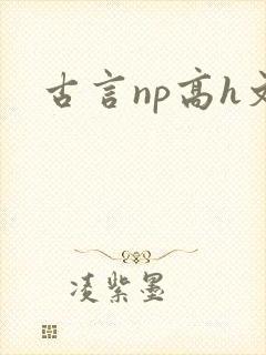 古言np高h文封面