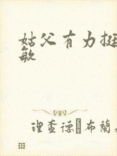 姑父有力挺送赵敏