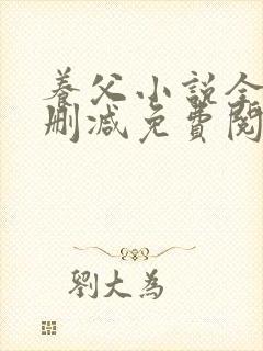 养父小说全文无删减免费阅读完整版封面