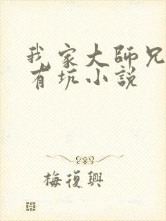 我家大师兄脑子有坑小说