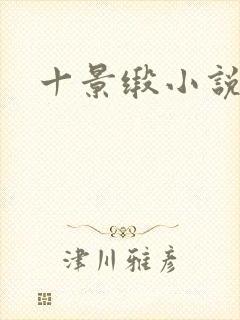 十景缎小说