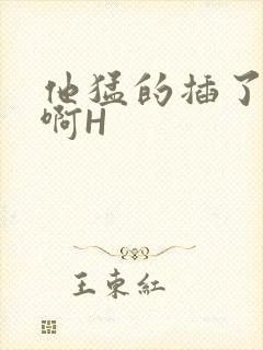 他猛的插了进去啊H