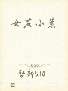 女友小叶