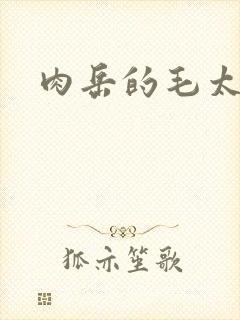 肉岳的毛太浓了封面