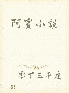 阿宾小说