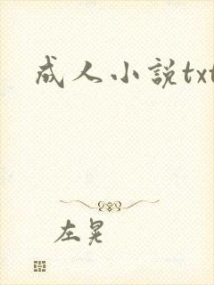 成人小说txt