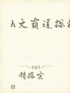 h文霸道总裁文封面