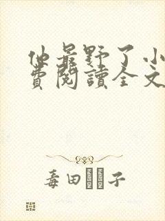 他最野了小说免费阅读全文