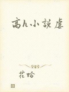 高h小说虐