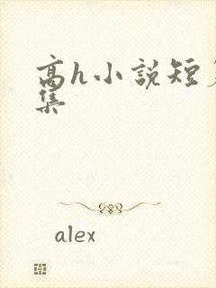 高h小说短篇合集