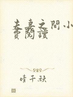 夫妻之间小说免费阅读