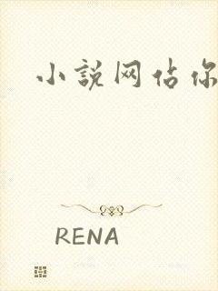 小说网站你懂的封面