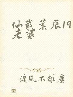 仙武叶辰19位老婆