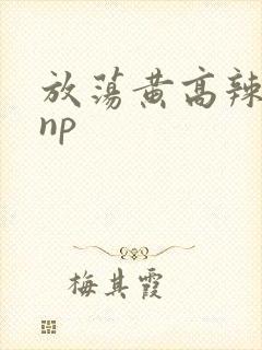 放荡黄高辣h文np