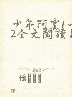 少年阿宾1～72全文阅读目录