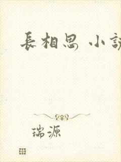 长相思 小说