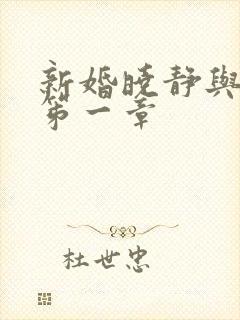 新婚晓静与翁公笫一章封面