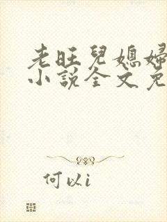 老旺儿媳妇秦雨小说全文免费阅读封面